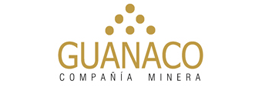 Guanaco